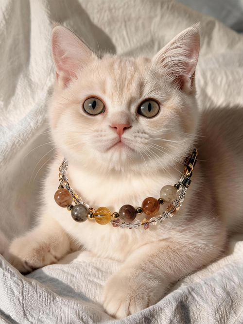 Crystal Leather Cat Collar